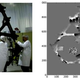 Image for article titled James Webb Space Telescope: Boldly Peeking Where No Man Has Peeked Before